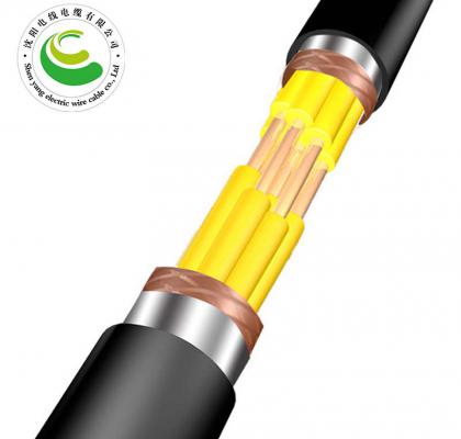 10芯  ZR-KVVP22  2--30芯*（ 1.5--2.5mm?）  阻燃铜芯聚氯乙烯绝缘聚乙烯护套钢带铠装电缆